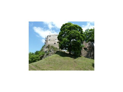 Holiday house "Roswitha"in Trusetal near Rennsteig - Environment photo 20