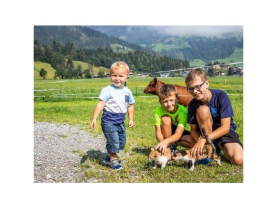 Apartment Almrausch (6-9 Pers./2 SZ, 1 WSR) - Outdoor photo 17