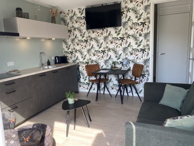 Apartment Viruly32holiday for 2 adults and 1 baby in Westkapelle - Apartment