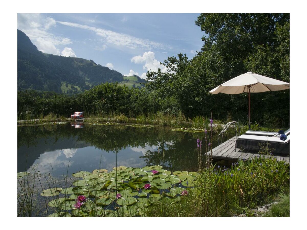 Apartment Garten Lodge, 1 Schlafraum - Outdoor photo 5