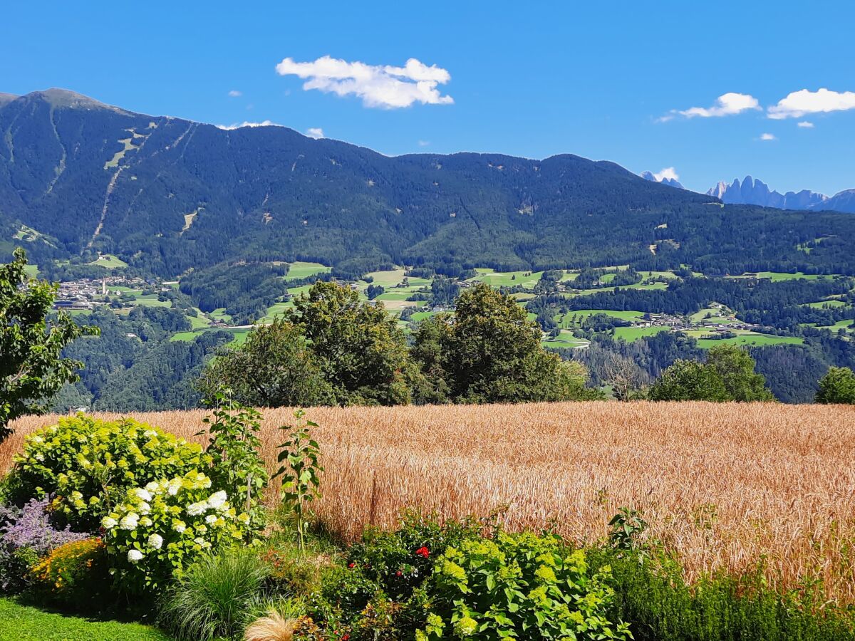 Chalet Praterhof