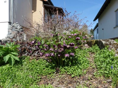 Apartment Ferienwohnung Schanbacher - Outdoor photo 3