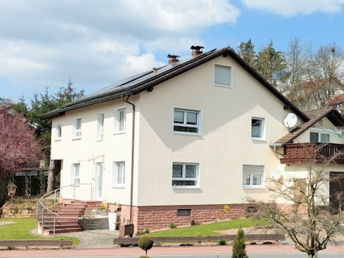 Apartment Ferienwohnung Hanna