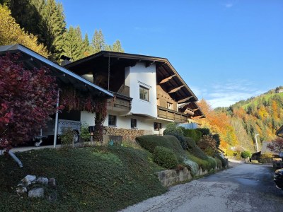Apartment Appartement/Fewo, Dusche, 1 Schlafraum - Features photo 40