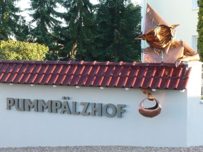 Holiday apartment Pummpälzhof - Outdoor photo 11