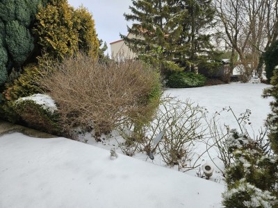 Apartment Haus am Schlosspark - Outdoor photo 6