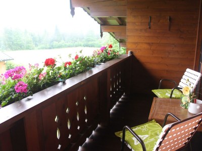 Apartment Garconniere Kaiserblick in Schwendt - Apartment