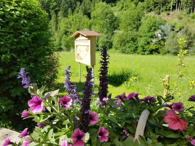 Apartment Appartement/Fewo, Dusche und Bad, WC, 5 Schlafräum - Outdoor photo 14