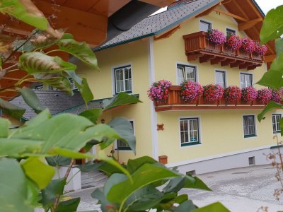 Apartment Grüne Wohnung in St. Kathrein am Offenegg - Apartment