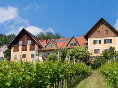 Apartment Ferienwohnung "Schilcher", ohne Frühstück in St. Johann bei Herberstein - Apartment