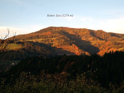Apartment Revitalisiertes Bauernhaus: Appartement Forstwald - Outdoor photo 12