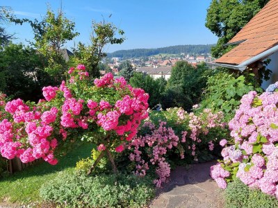 Apartment Das Moarhofstöckl | Landromantik-Kellerstöckl - Outdoor photo 3
