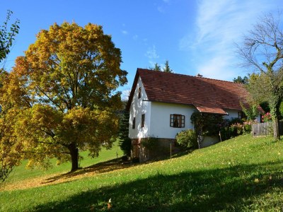Apartment Das Moarhofstöckl | Landromantik-Kellerstöckl - Outdoor photo 9