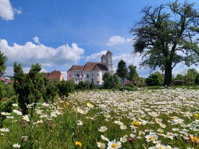 Apartment Das Moarhofstöckl | Landromantik-Kellerstöckl - Outdoor photo 10