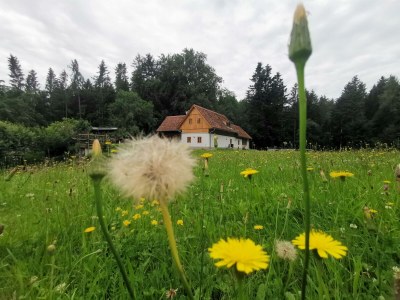 Apartment Bauernhaus "Landlust", 2 Bäder, WC, 3 Schlafräume - Outdoor photo 92