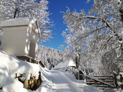 Apartment Landhaus Kurzen - Outdoor photo 23