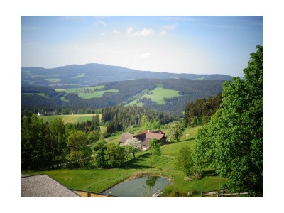 Apartment Ferienwohn. 60m²  80m unterhalb vom Hotel - Outdoor photo 19