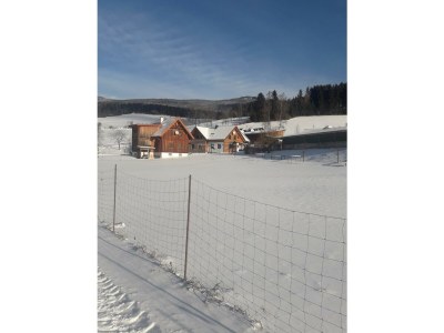 Apartment FEWO "Vogelgezwitscher" in St. Lorenzen am Wechsel - Apartment