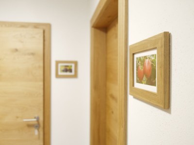 Apartment Ferienwohnung Holunder - Outdoor photo 2