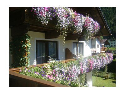 Apartment Appartement Nr. 5 - Outdoor photo 12
