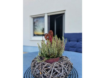 Apartment Appartement/Fewo, Bad, WC, 1 Schlafraum - Outdoor photo 7