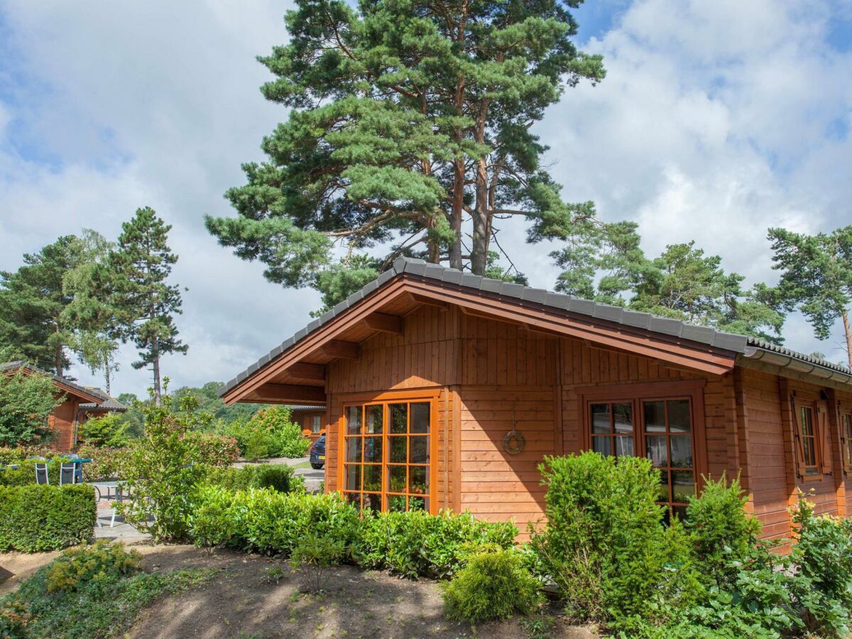 Holiday house Boekhorst Royal Sauna 6