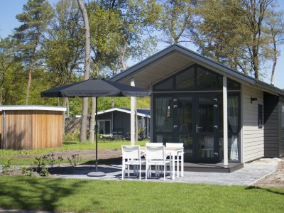 Holiday house Tiny House 4 in Ijhorst - Holiday house