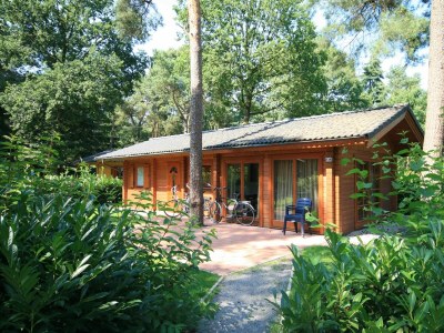 Holiday house Boekhorst 4 in Susteren - Holiday house