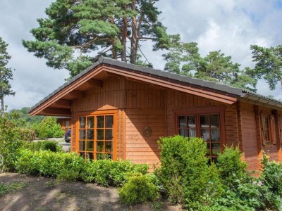 Holiday house Boekhorst Royal 6 in Susteren - Holiday house