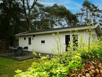 Holiday house Unique 4 in Beekbergen - Holiday house