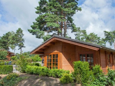 Holiday house Boekhorst Royal 6 in Lochem - Holiday house
