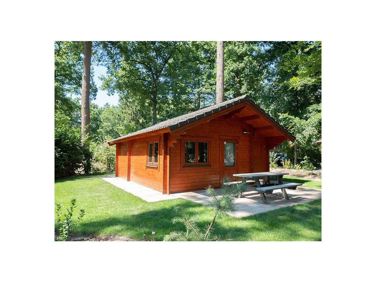 Holiday house Boekhorst 4