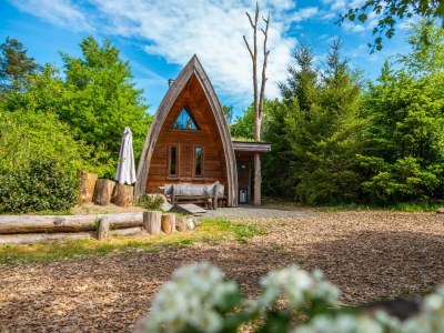 Holiday house Van Gogh 4 in Otterlo - Holiday house