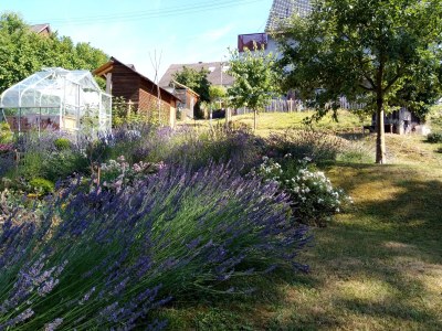 Holiday apartment Lautertalblick - Outdoor photo 5