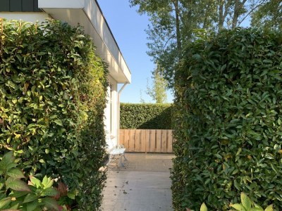 Holiday house Restyled Koningshoeve 4 personen - Outdoor photo 9