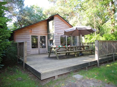 Holiday house Glamping family lodge 10 in Ruinen - Holiday house