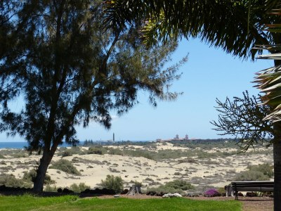 Holiday apartment Parque Rey Carlos - Environment photo 40