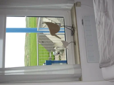 Holiday house Badhotel 339 - Outdoor photo 11