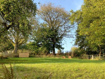Apartment Ferienhaus in Ruhe & Natur im Wildenburg - Outdoor photo 7