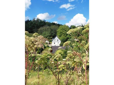 Apartment Ferienhaus in Ruhe & Natur im Wildenburg - Outdoor photo 13