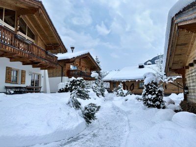 Apartment Exklusives Chalet mit Sauna und Panoramablick - Outdoor photo 38