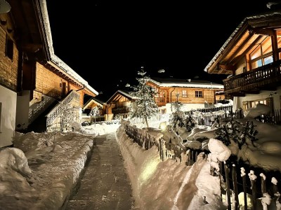 Apartment Exklusives Chalet mit Sauna und Panoramablick - Outdoor photo 43