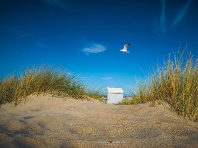 Holiday apartment Ferienwohnung Freude St. Peter-Ording - Environment photo 16