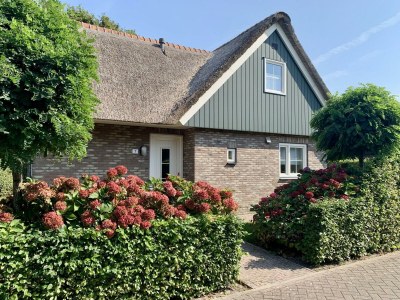 Holiday house Anzelhoef 7 in Sint Maartenszee - Holiday house