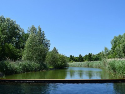 Holiday house VZ2349 Appartement in Oostkapelle - Outdoor photo 25