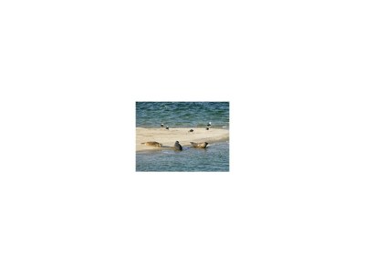 Holiday house VZ2549 Vakantiewoning VP002 - Outdoor photo 41