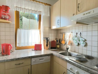 Apartment Zillertal Alpenblick - Outdoor photo 17