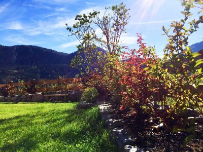 Apartment Almflair-Chalet - Outdoor photo 5
