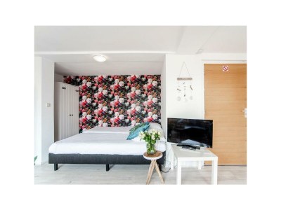 Holiday house Studio Papillon - Features photo 49