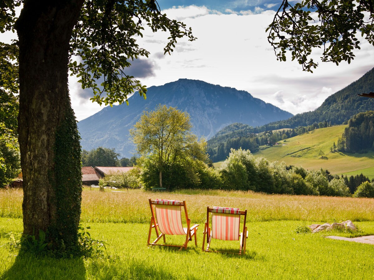 Holiday apartment Schwarzachen Alm - Haus Daniel - Outdoor photo 5